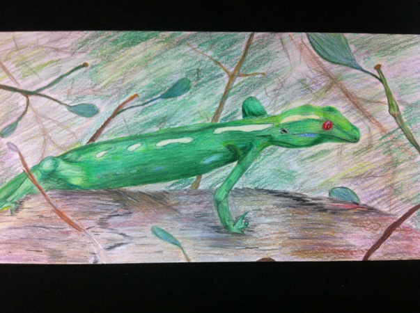 lizard drawing