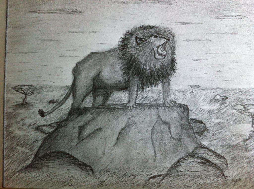 Drawing of lion